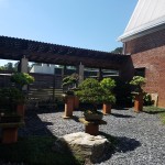 Tour of Conyers